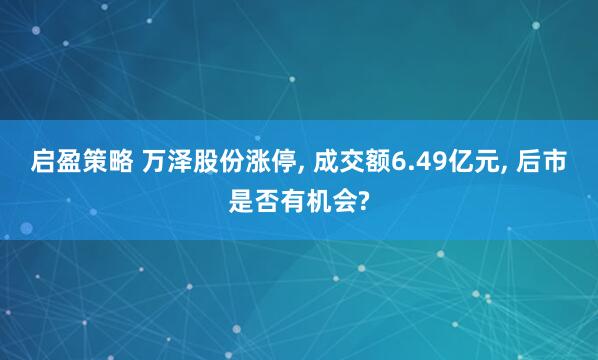 启盈策略 万泽股份涨停, 成交额6.49亿元, 后市是否有机会?